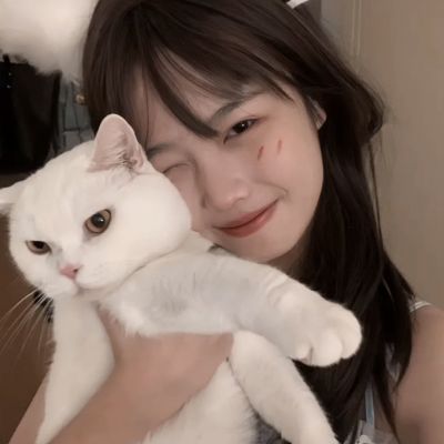 主宰仙侠变态版下载